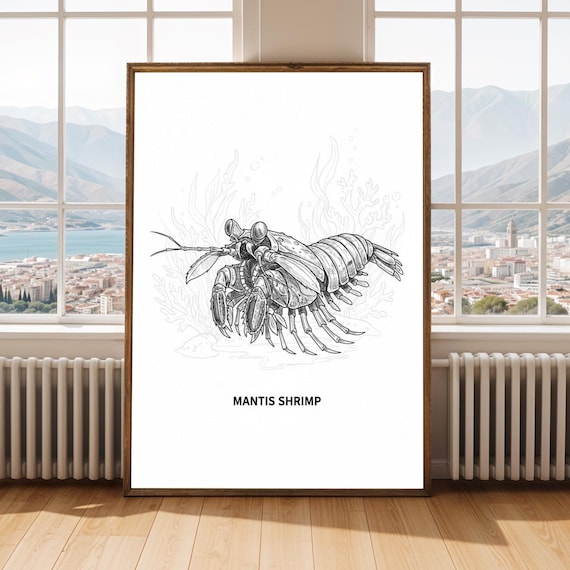 Mantis Shrimp Fine Line Ink Illustration Black White Sea Life Print