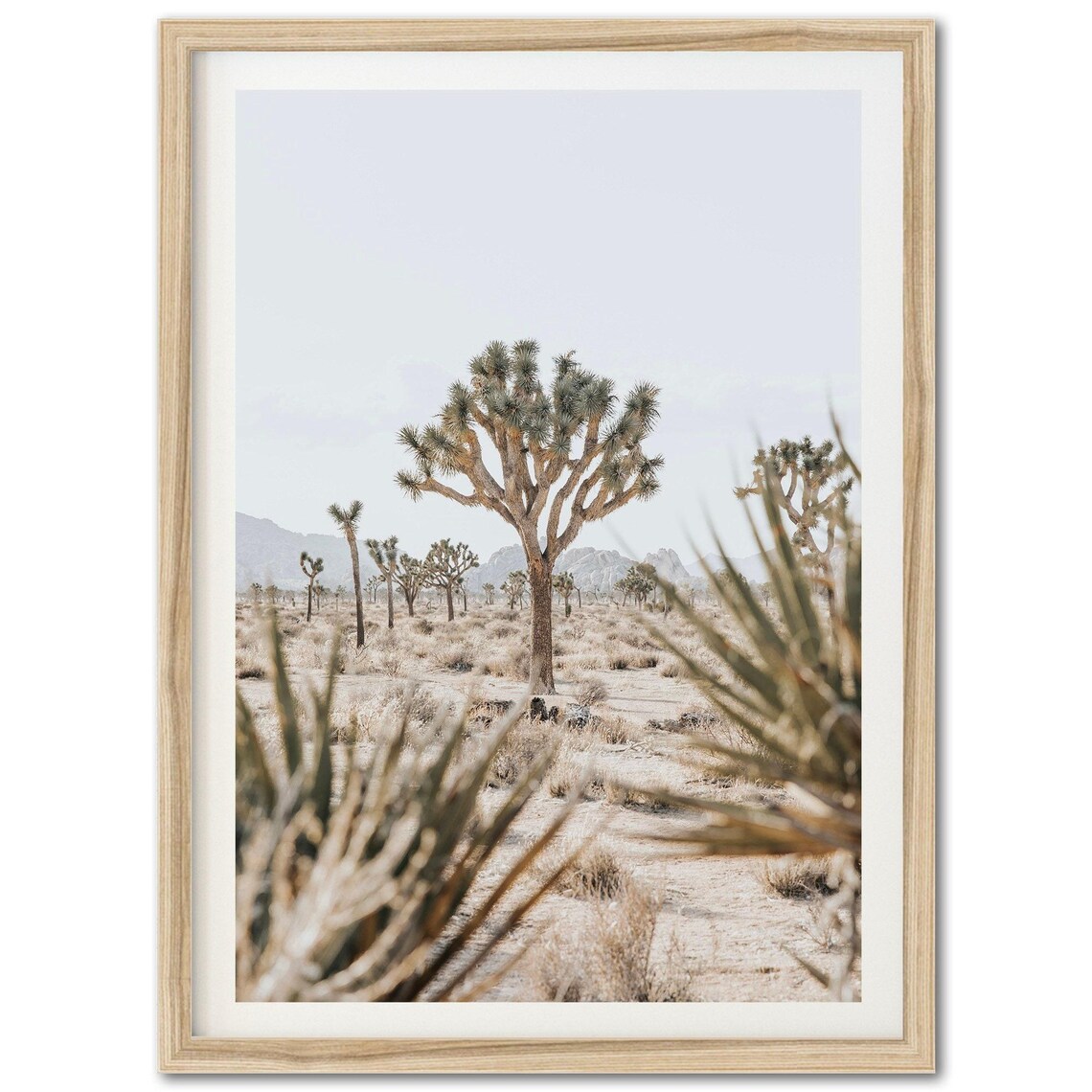 Joshua Tree National Park Desert Art Print