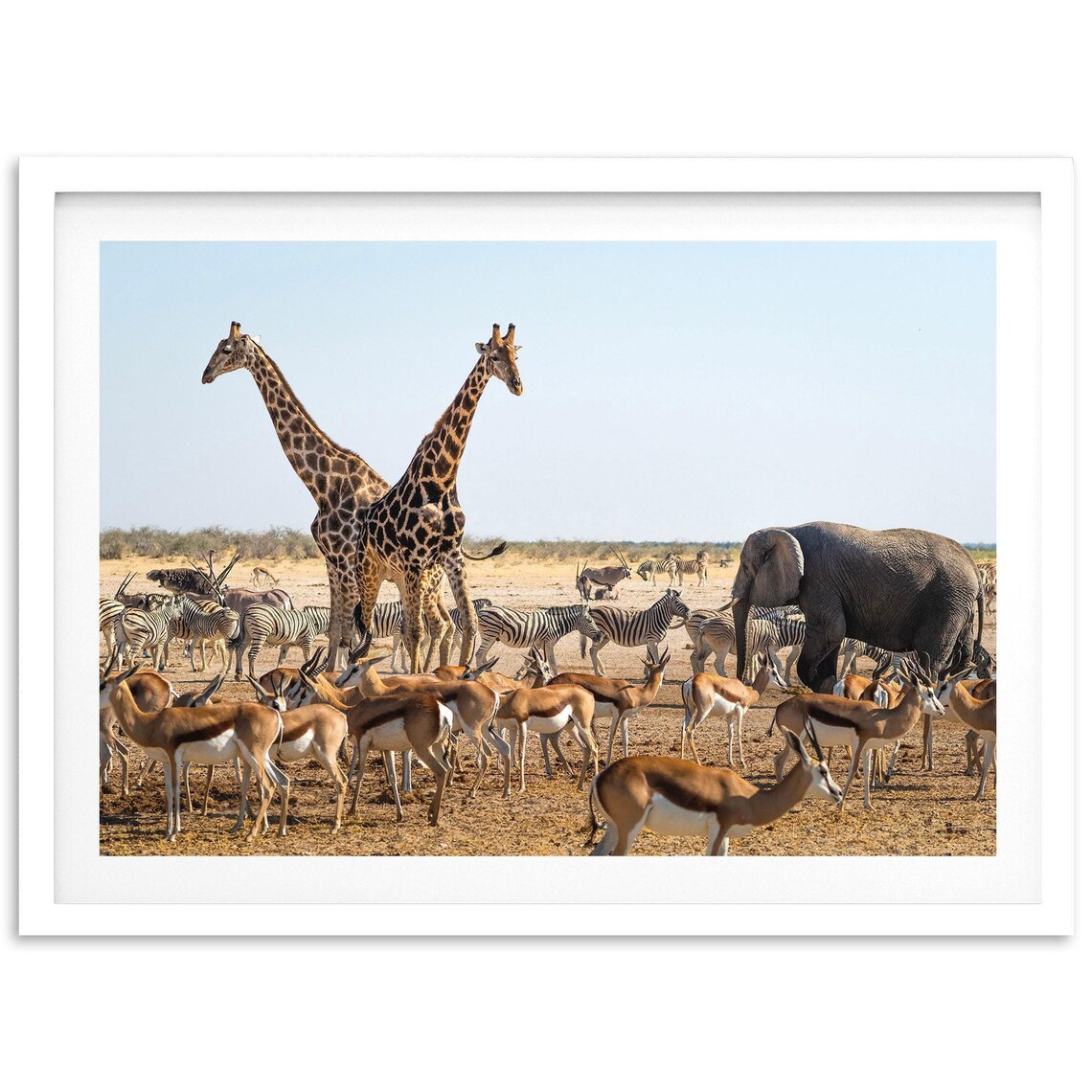 Safari Wildlife Nursery Animals Nature Art Print
