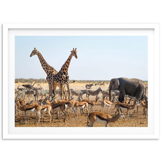Safari Wildlife Nursery Animals Nature Art Print