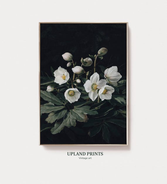 Dark Moody Floral Painting Dark White Flower Art Print Moody Flower White Flower Painting Floral White Botanical Prints 103