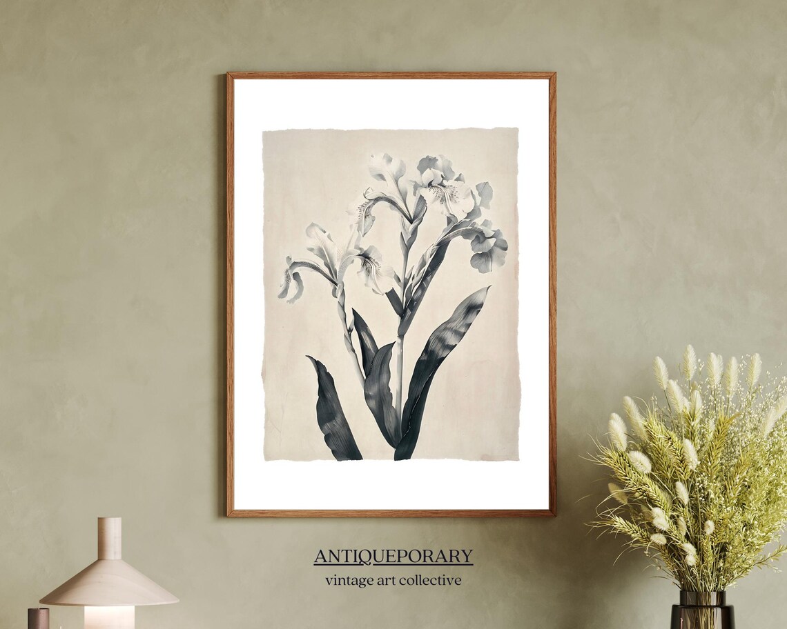 Vintage Botanical Lily Illustration Monochrome Antique Poster - Image 7