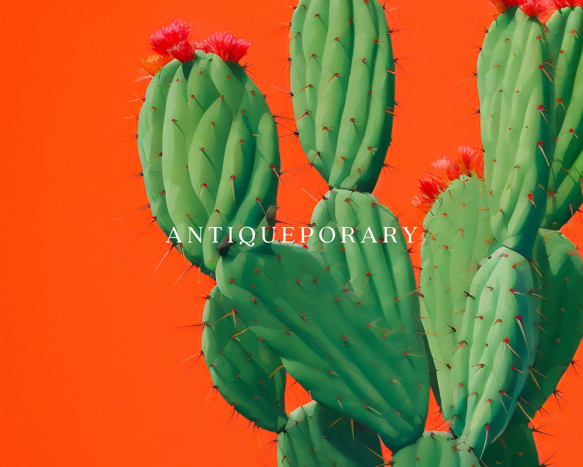 Prickly Pear Cactus Turquoise Pot Orange Abstract Still Life Poster - Image 3