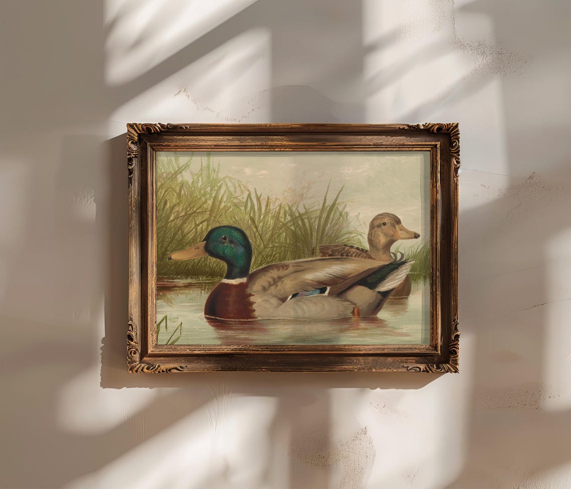 Mallard Ducks Vintage Wildlife Painting Tranquil Wetland Poster - Image 3