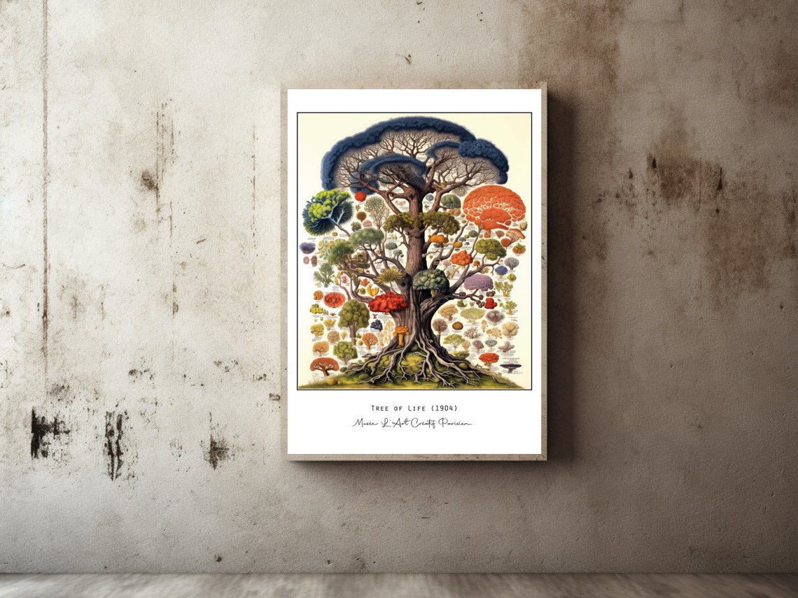 Tree Of Life 1904 Haeckel Inspired Natural History Art Poster - Image 2