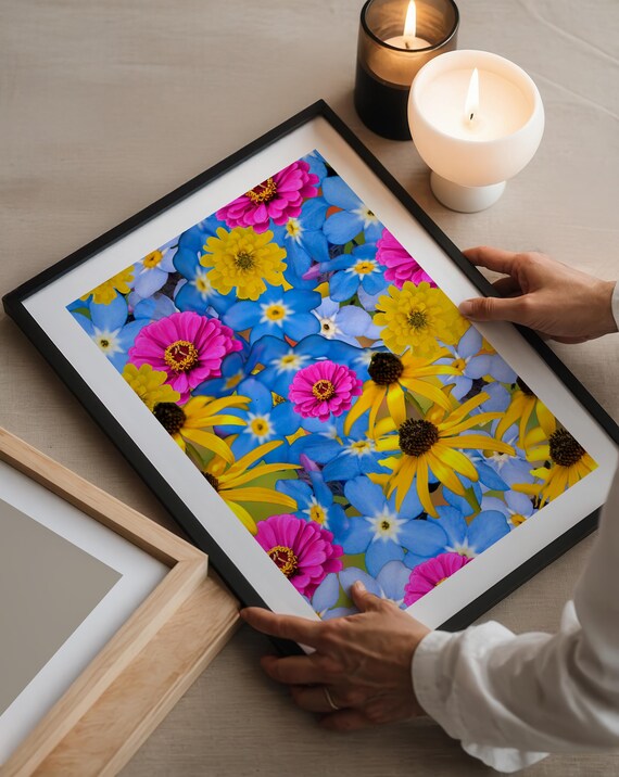 Vibrant Zinnias Blackeyed Susans Forgetmenots Wall Art Print Floral Artwork Botanical