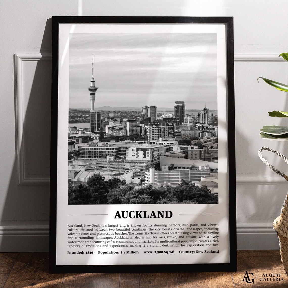 Auckland New Zealand Black And White Skyline City Print With Key Facts