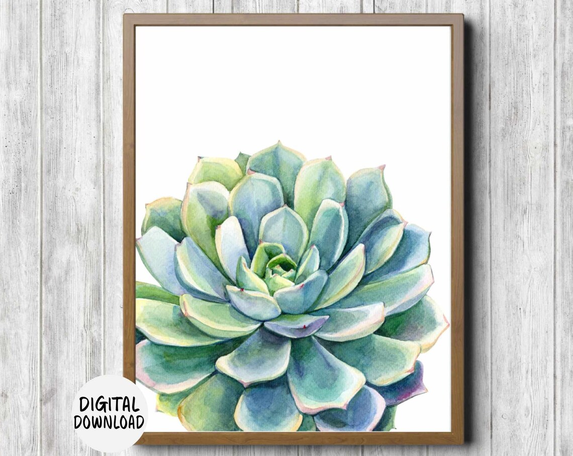 Watercolor Succulent Botanical Plant Art Print