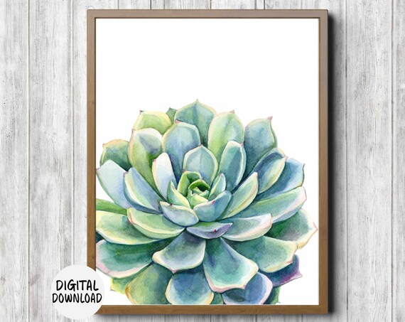 Watercolor Succulent Botanical Plant Art Print