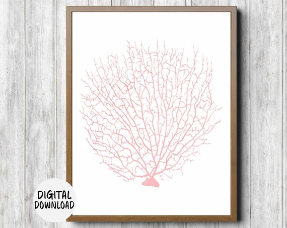Watercolor Fan Sea Coral Wall Art Blush Pink Nursery Girls Room Print Office Art Poster Sea Life 11 X 14 8 X 10 5 X 7