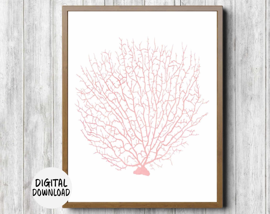 Watercolor Fan Sea Coral Wall Art Blush Pink Nursery Girls Room Print Office Art Poster Sea Life 11 X 14 8 X 10 5 X 7