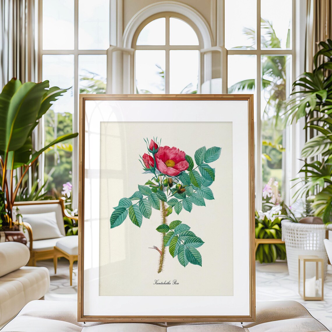 Kamtschatka Red Rose Bloom Thorny Stem Vintage Botanical Art Poster - Image 3