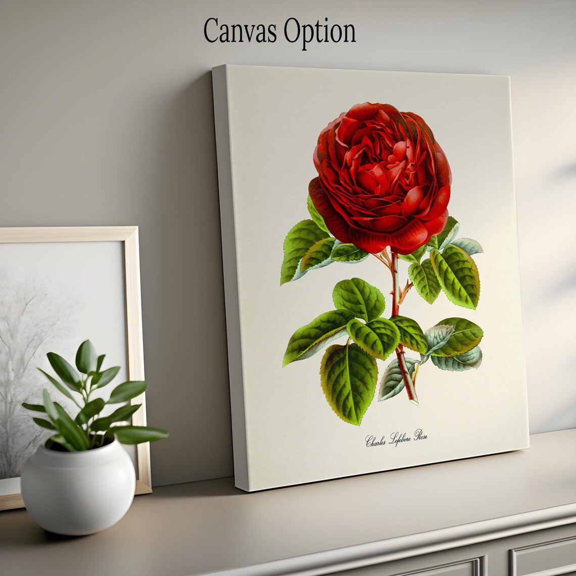 Red Rose by Charles Lefebvre, Botanical Art Print - Image 2