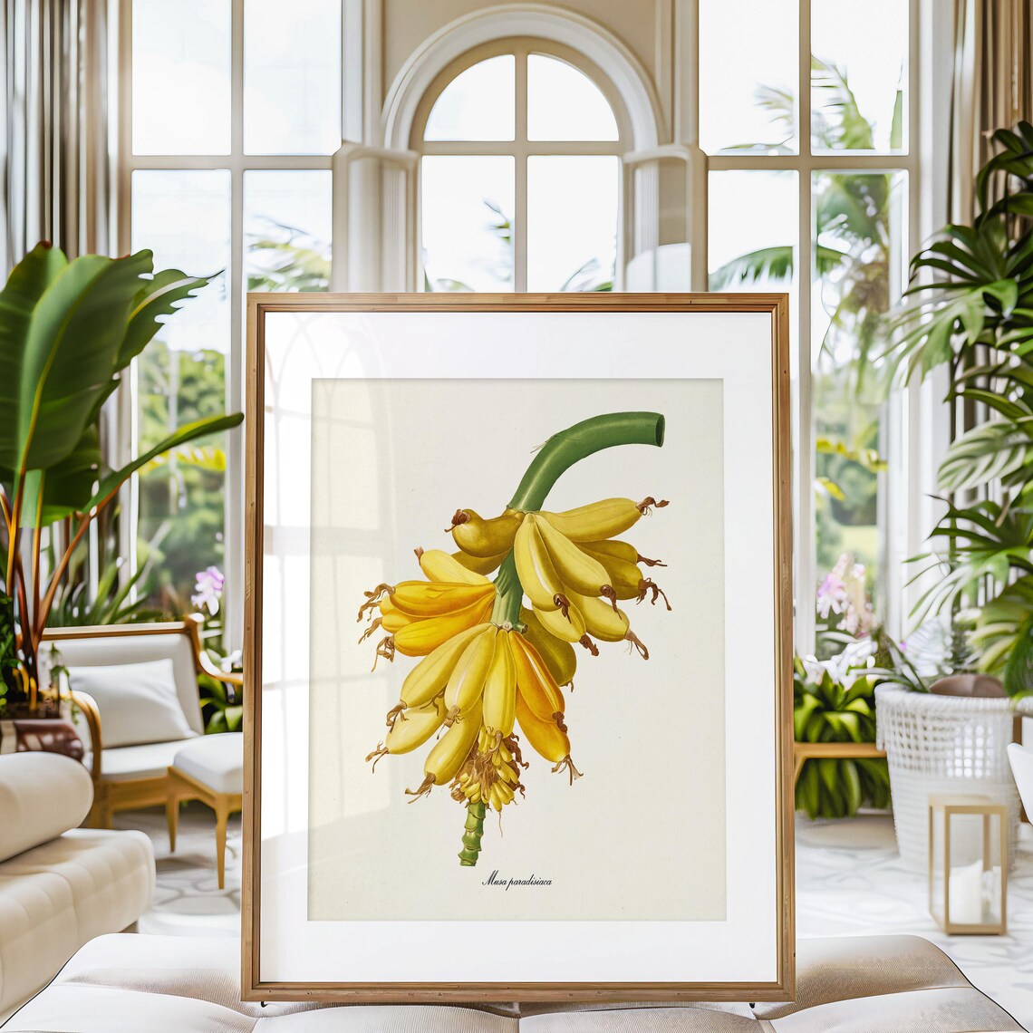 Bananas Botanical Art Print, Tropical Fruit Study - Image 3