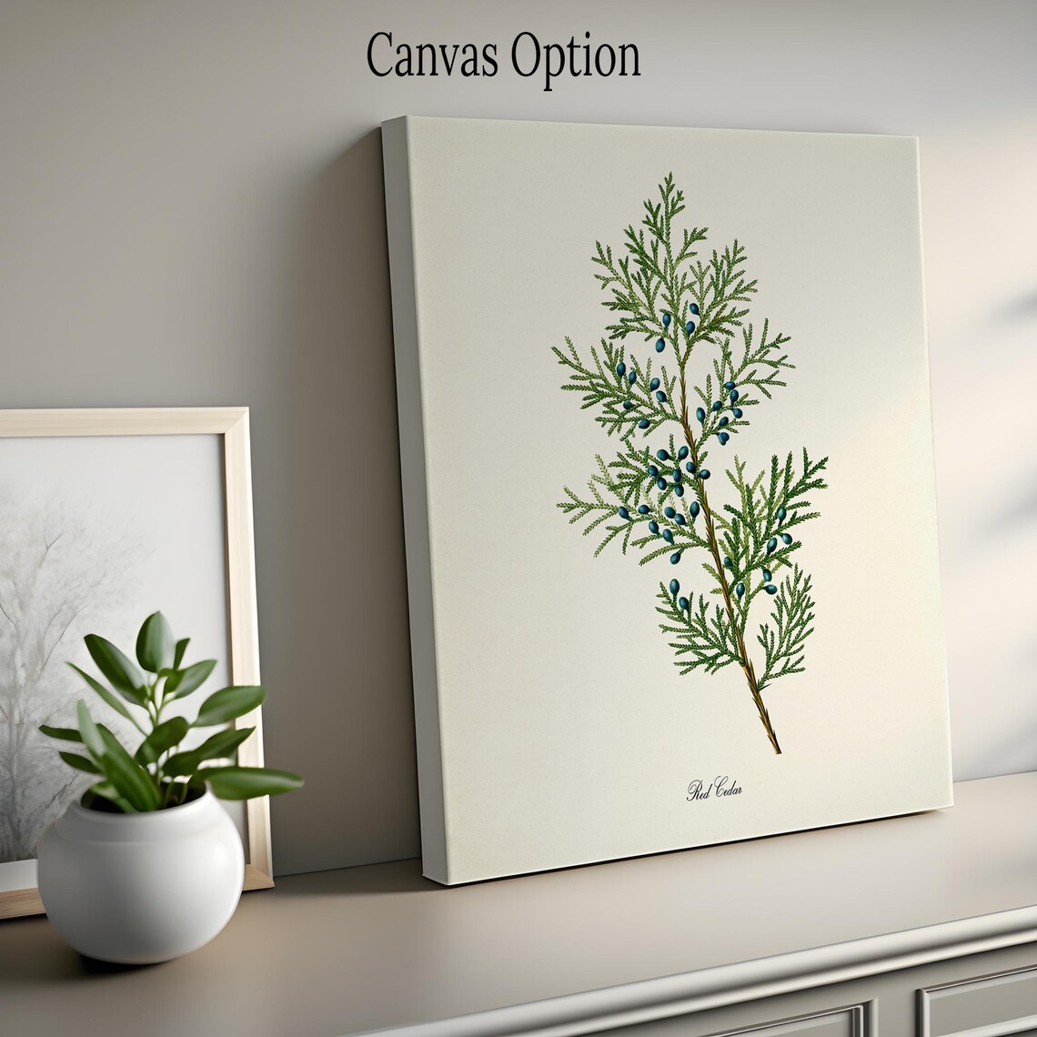Red Cedar Tree Botanical Art Print, Botanical Decor - Image 2