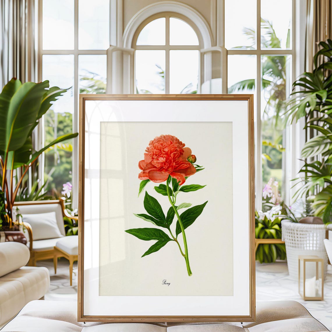 Coral Red Peony Magnificent Single Bloom Vintage Botanical Poster - Image 3
