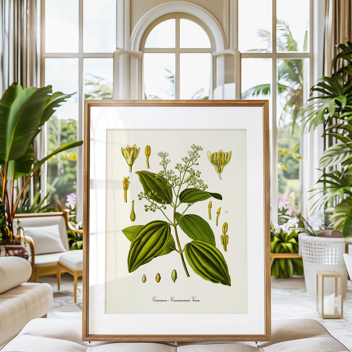 Cinnamon Botanical Art Print, Botanical Decor - Image 3