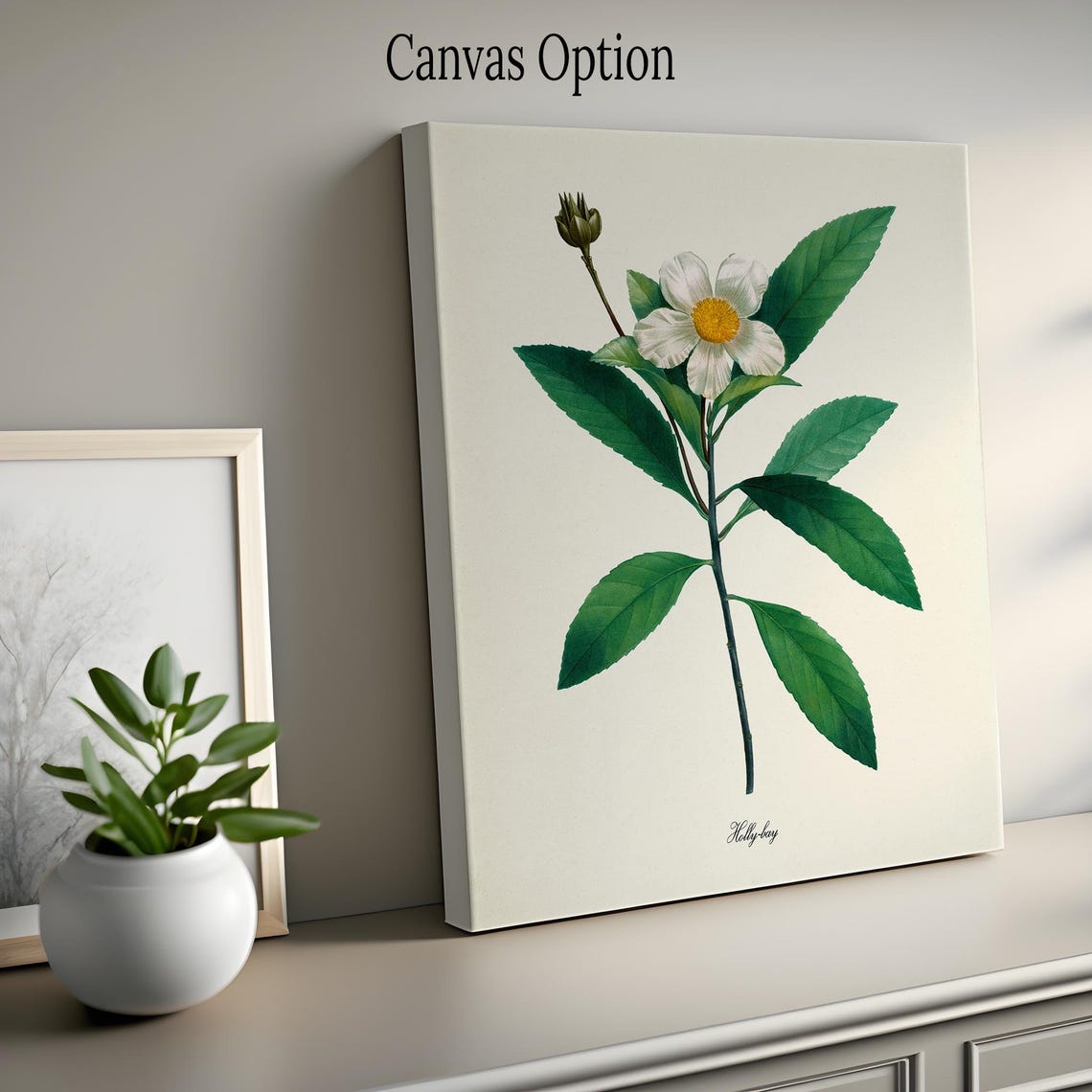 Holly Bay Flower Vintage Botanical Illustration Classic Wall Poster - Image 2