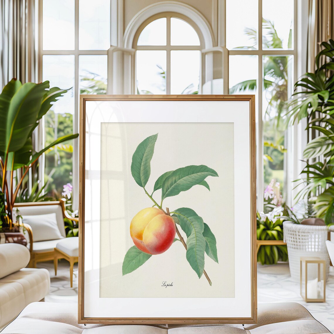 Peach Botanical Art Print, Redoute-Inspired La Peche - Image 3