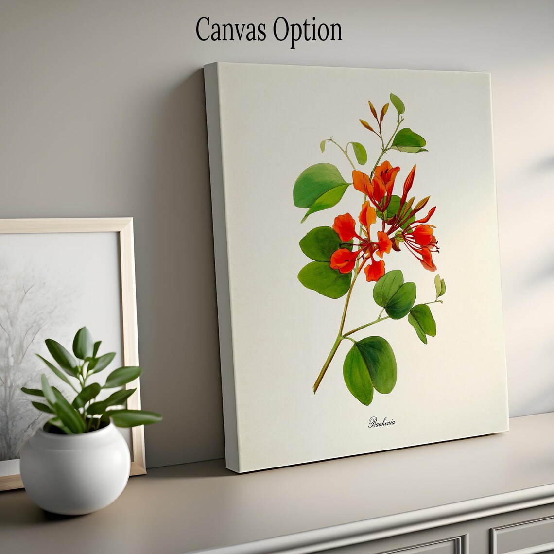 Bauhinia Flower Botanical Wall Art Print, Floral - Image 2