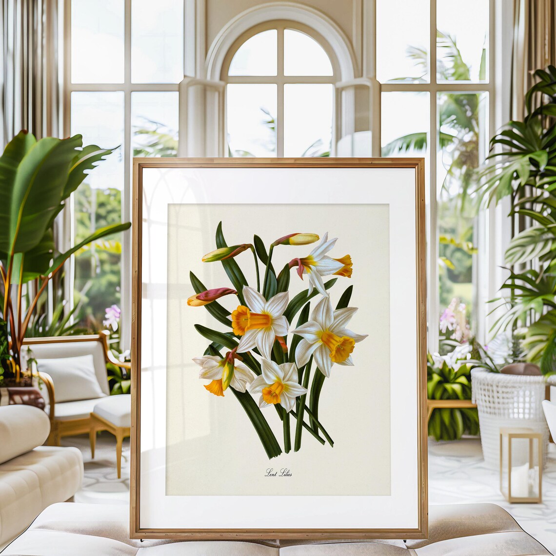 Lent Lilies Botanical Art Print, Yellow White - Image 3