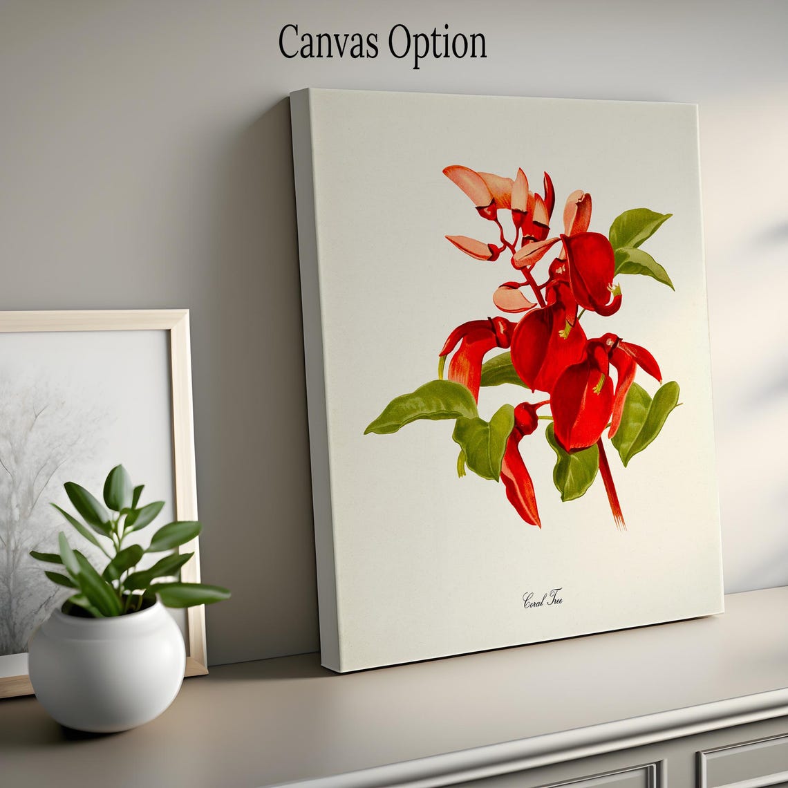 Coral Tree Flower Art Print Botanical Art Print Flower Wall Art Flower Print Floral Print Red Flower Flame Tree - Image 2