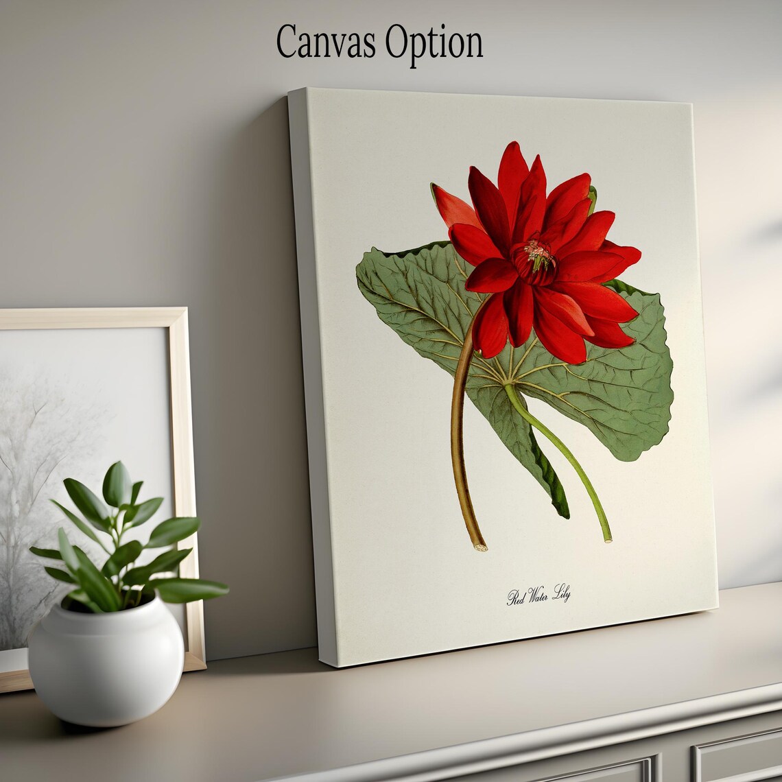 Red Water Lily Botanical Art Print, Floral Decor - Image 2