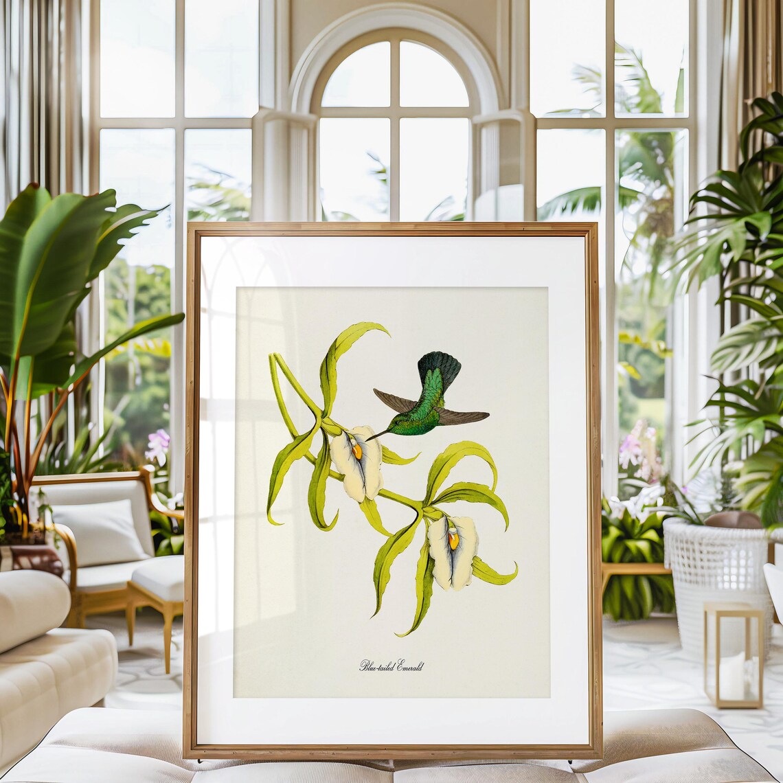 Blue Tailed Emerald Hummingbird Art Print, Green Bird - Image 3