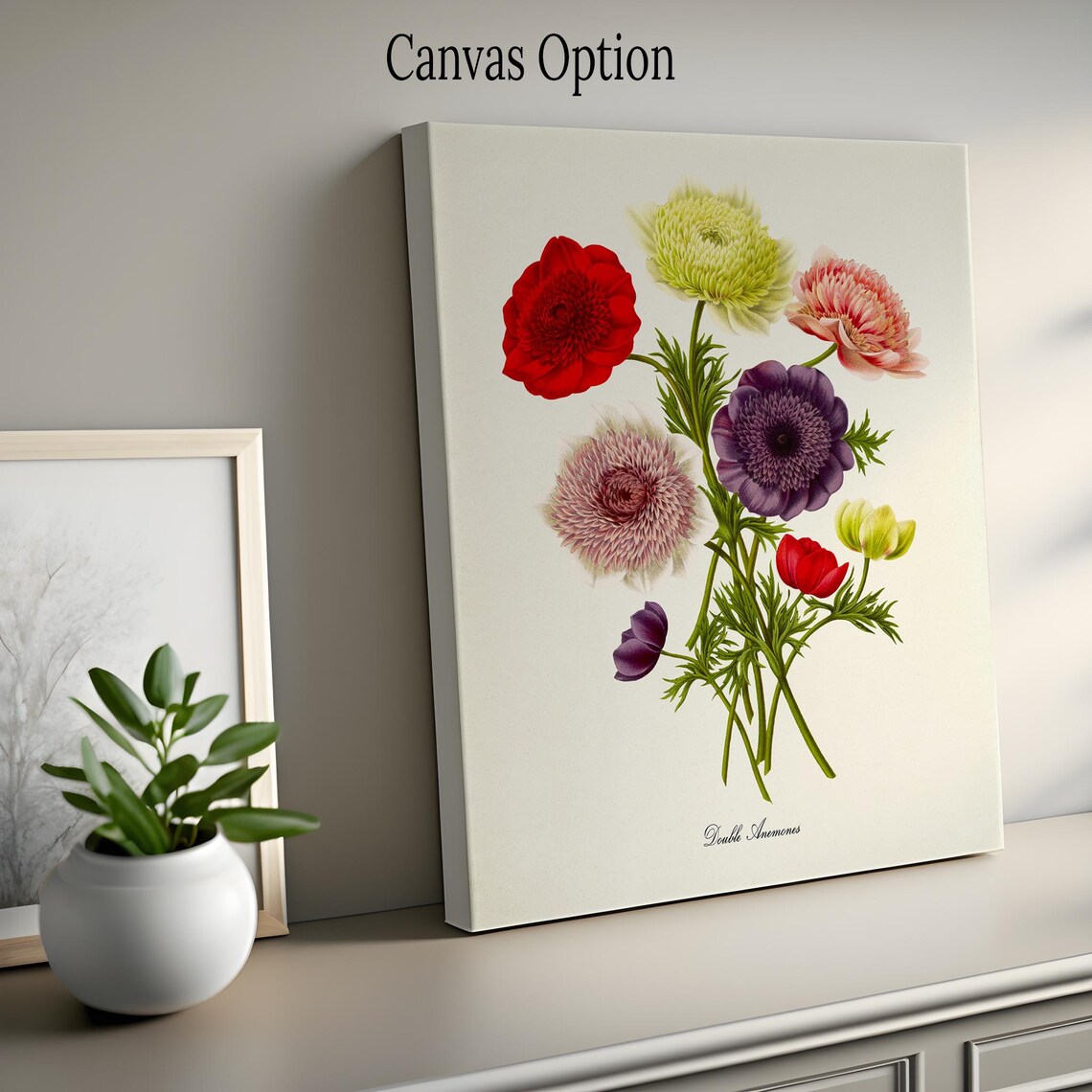 Double Anemones Windflower Botanical Art Print - Image 2