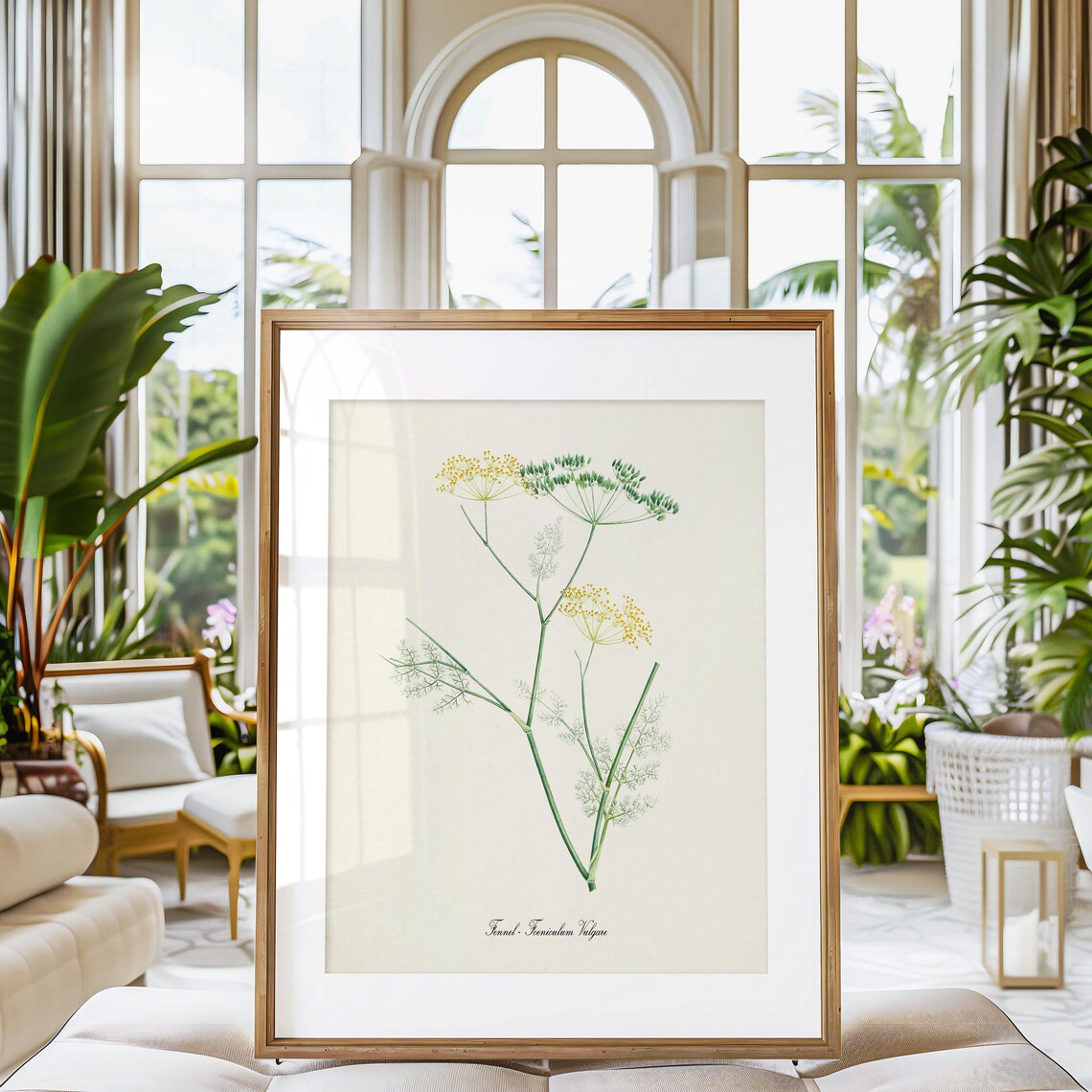 Fennel Botanical Art Print, Foeniculum Vulgare - Image 3