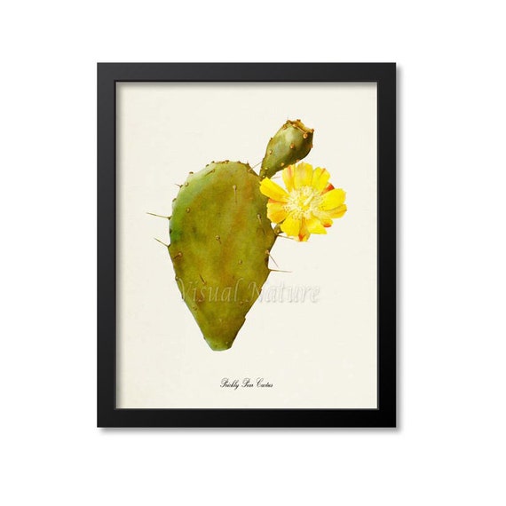 Prickly Pear Cactus Botanical Wall Art Print