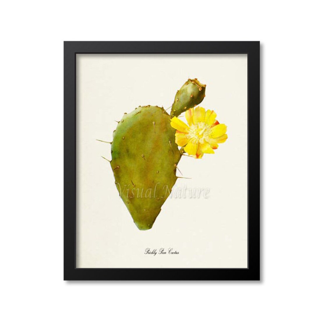 Prickly Pear Cactus Botanical Wall Art Print