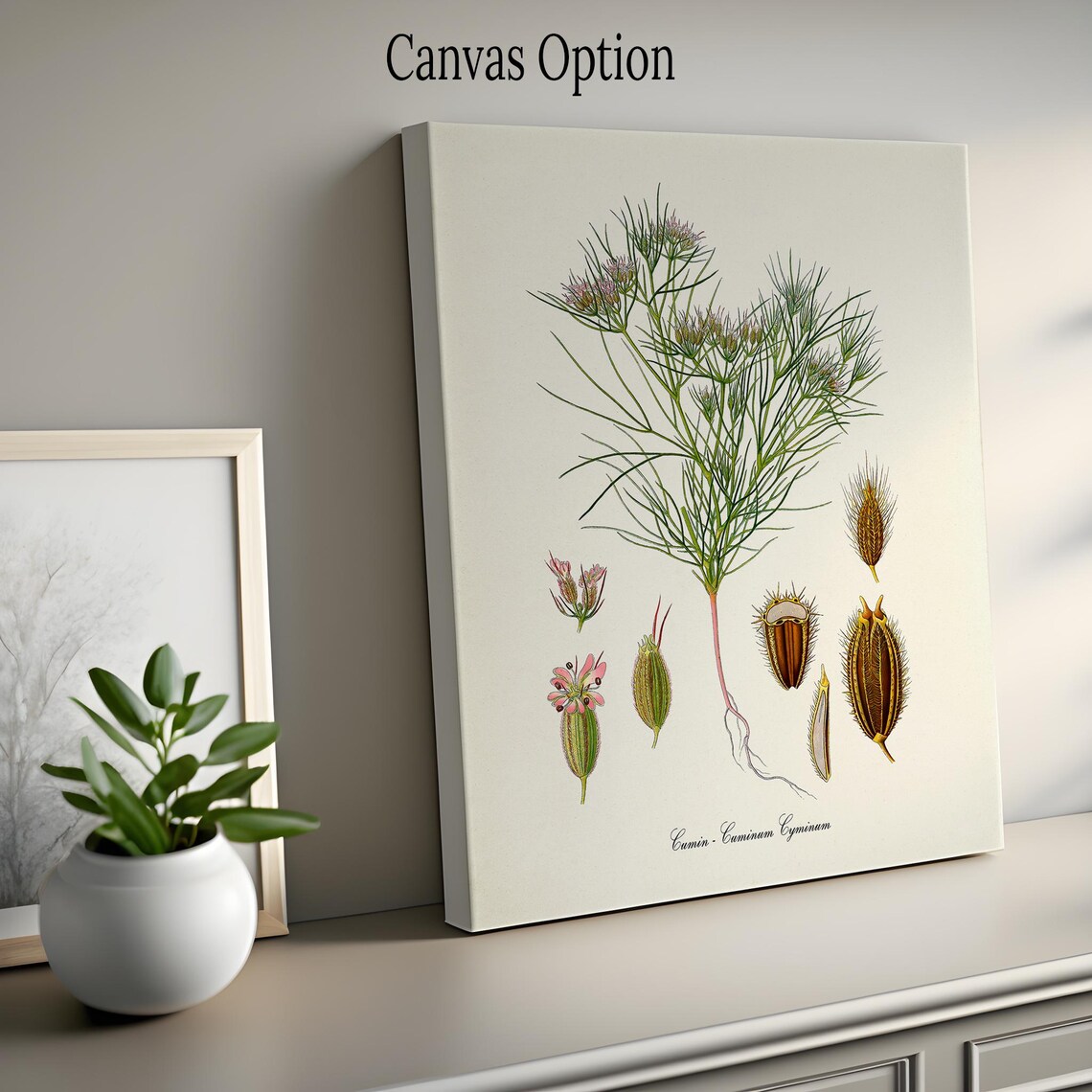 Cumin Botanical Art Print, Kitchen Wall Decor - Image 2