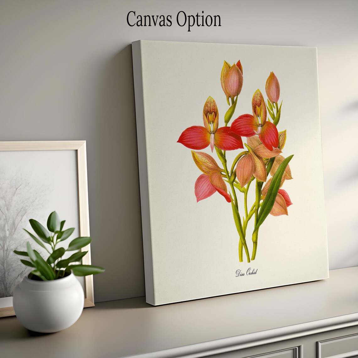 Disa Orchid Botanical Flower Art Print, Floral Decor - Image 2