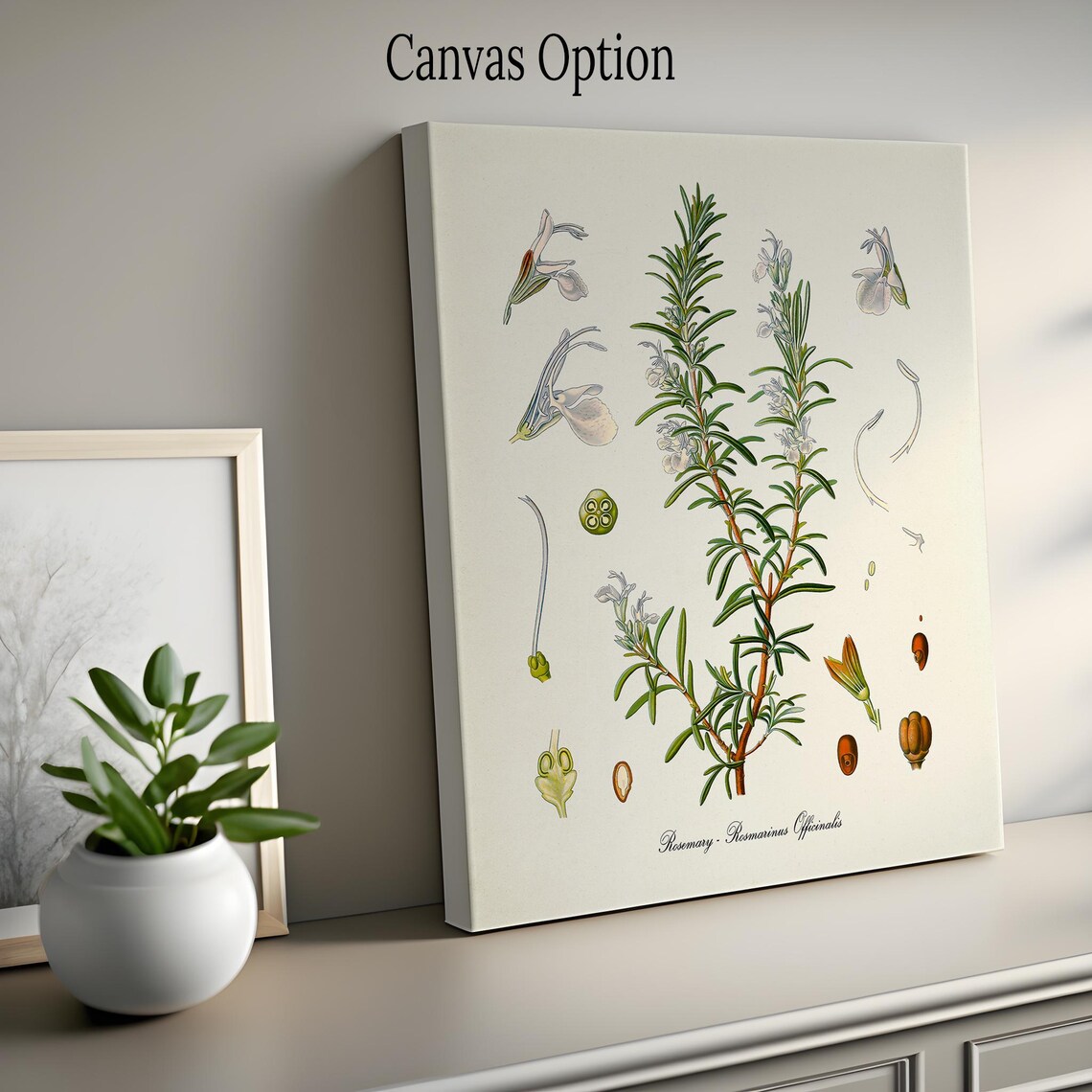 Rosemary Botanical Art Print, Kitchen Herb Decor - Image 2