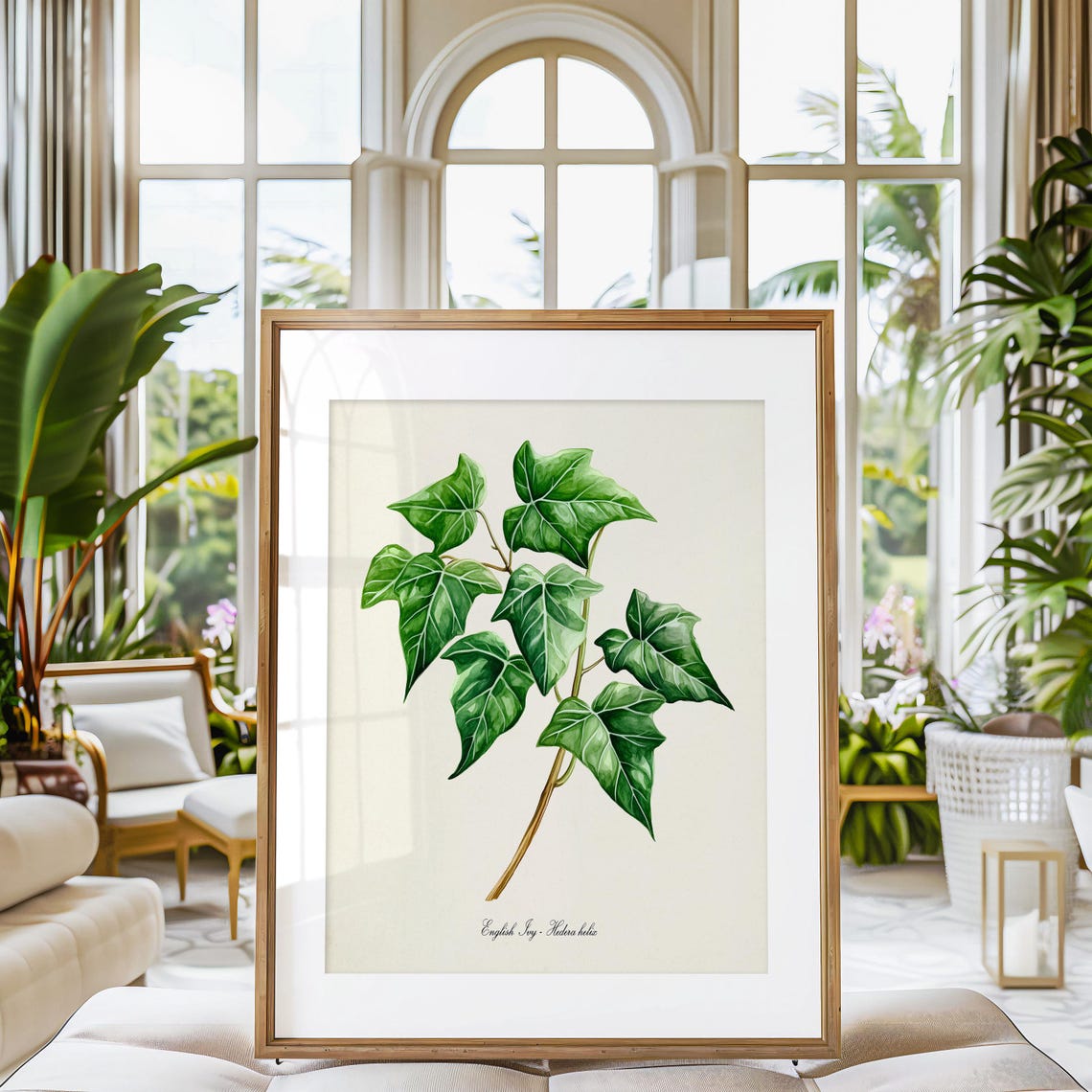 English Ivy Hedera Helix Botanical Vine Illustration Wall Poster - Image 3