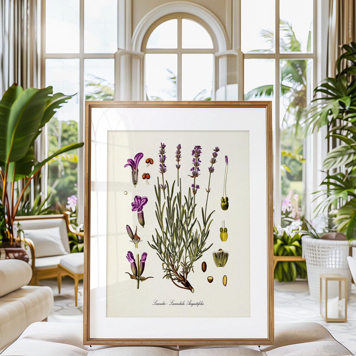 Lavender Botanical Print, Lavandula Angustifolia Art - Image 3
