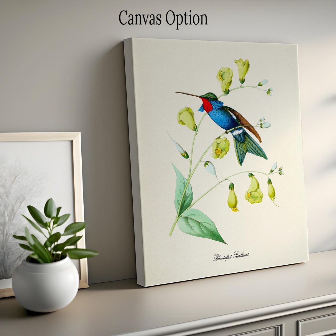 Blue Tufted Starthroat Hummingbird Floral Art Print - Image 2