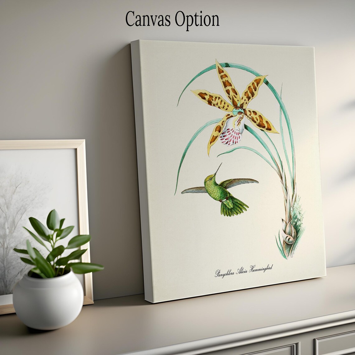 Panychlora Alicia Hummingbird, Floral Art Print - Image 2