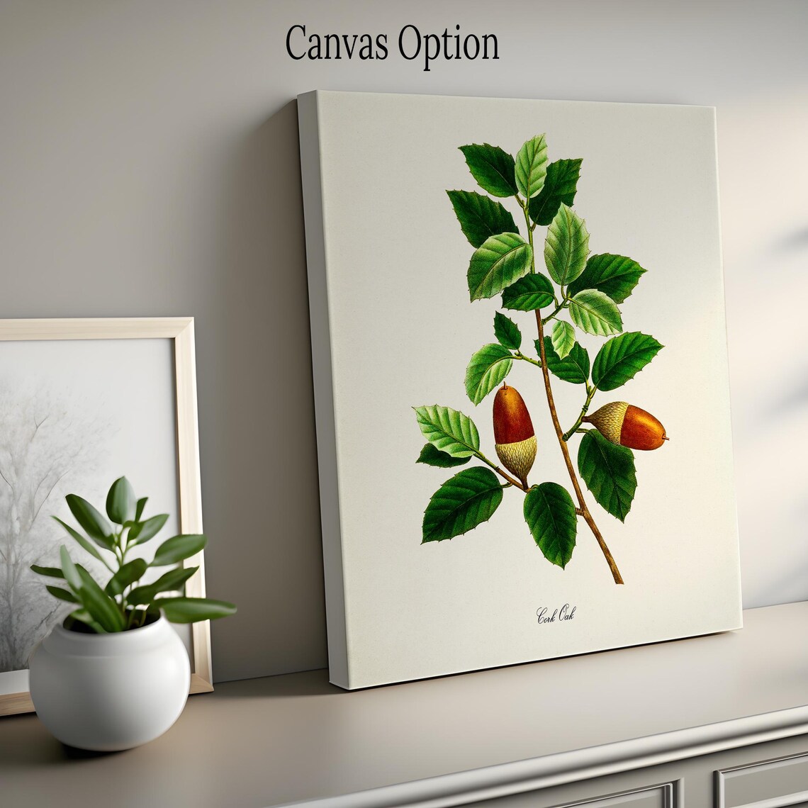 Cork Oak Botanical Art Print, Tree Study Poster - Image 2