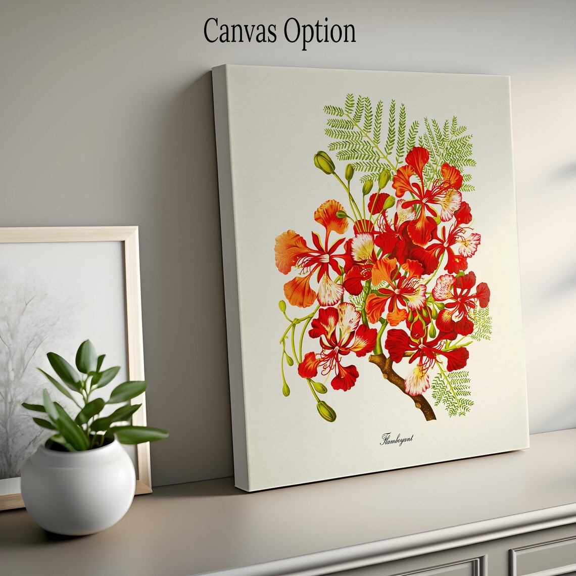 Flamboyant Flower Botanical Art Print, Red Floral - Image 2