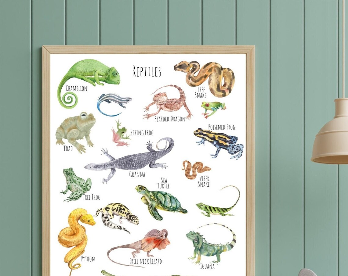 Reptiles Poster, Unique Reptile Art Print