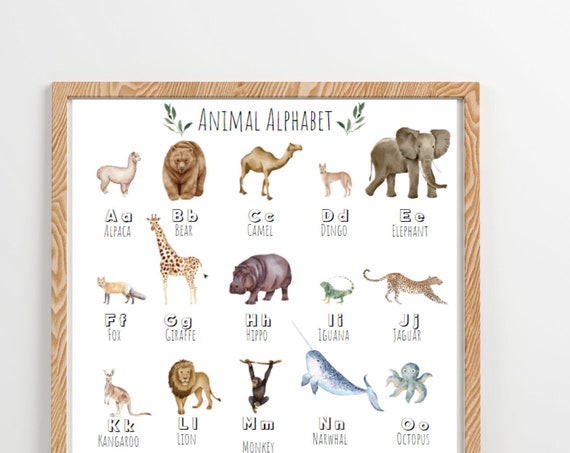 Animal Alphabet A3 Poster A Beautiful Selection Of Gorgeous Unique Animals Only