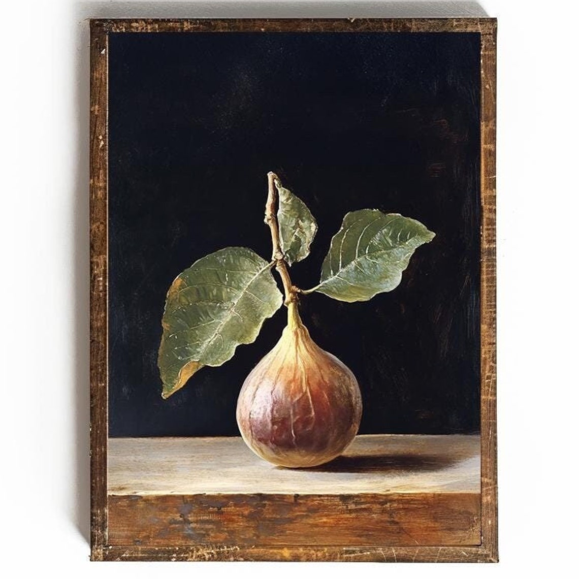 Single Fig With Leaves Dark Background Botanical Still Life Poster