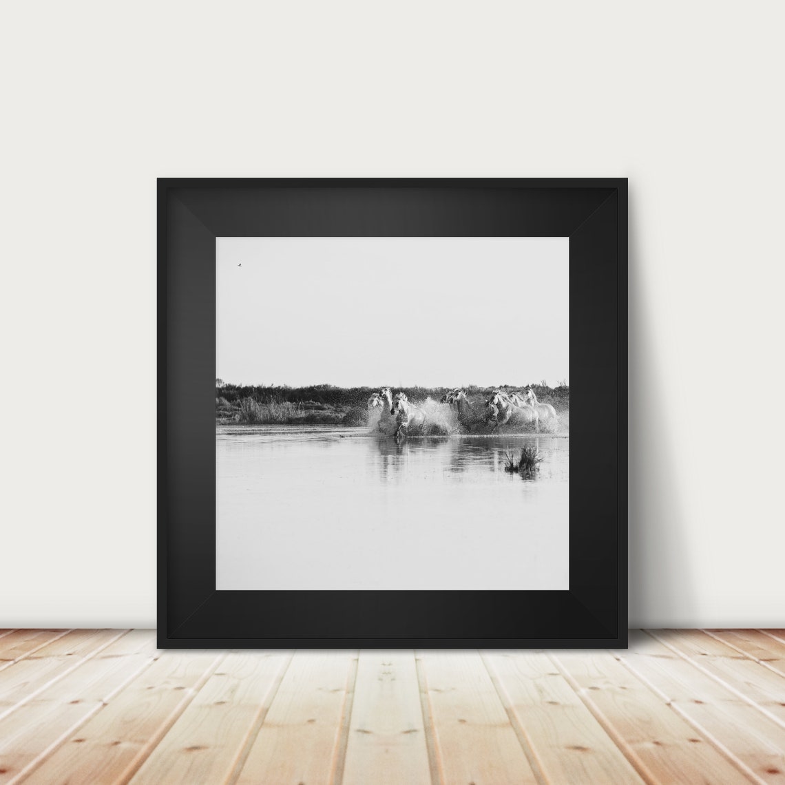 White Horses Galloping Through Water Dramatic Black White Poster
