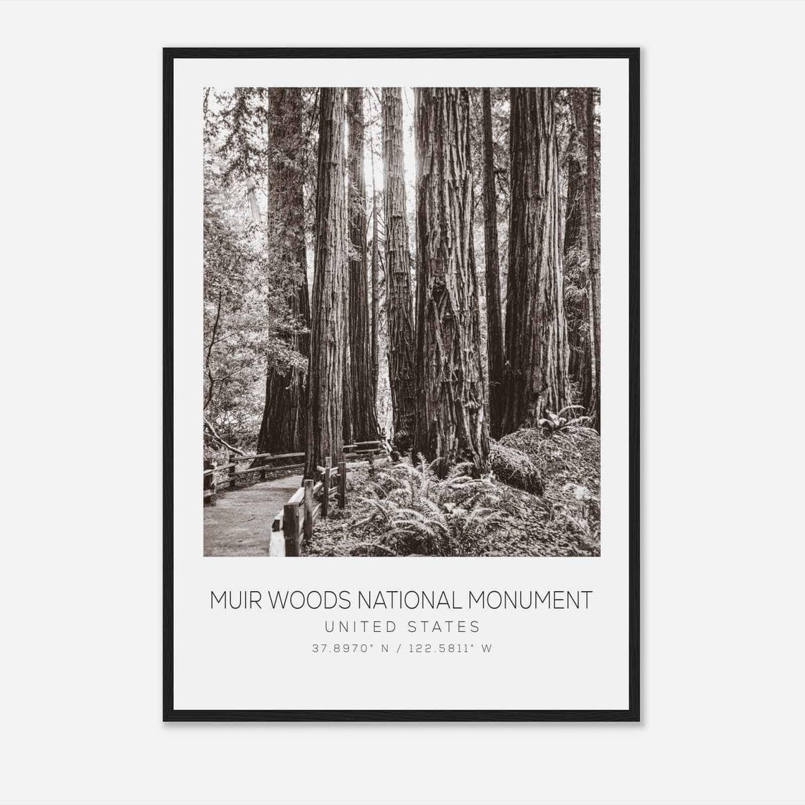 Muir Woods National Monument United States Travel Photo Poster Bw Muir Woods National Monument Travel Print Minimalist Travel Poster Print