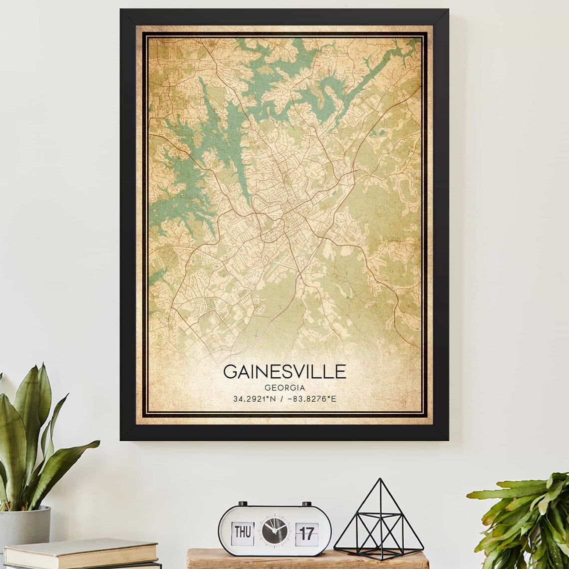 Vintage Gainesville Georgia Map Art Print Poster