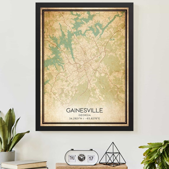 Vintage Gainesville Georgia Map Art Print Poster
