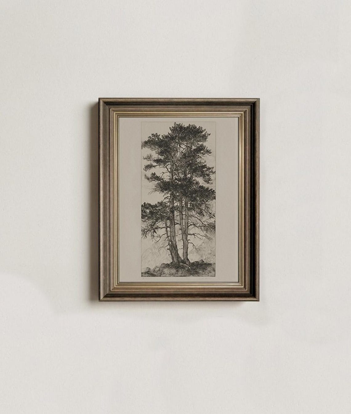 Antique Pine Tree Etching Dark Academia Botanical Study Wall Art