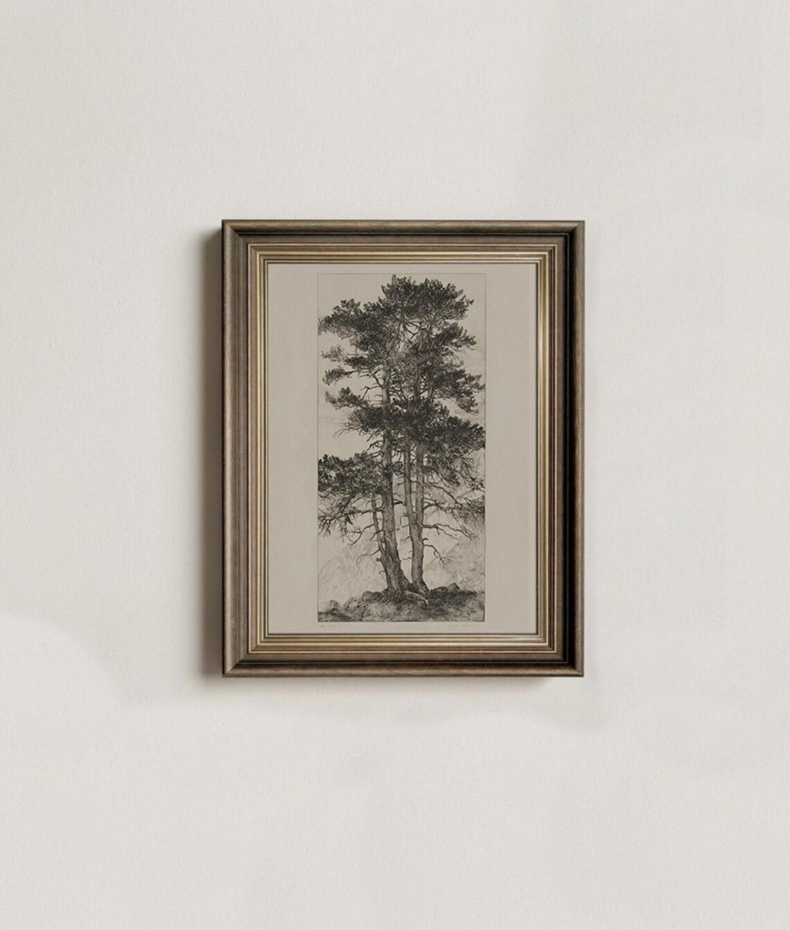 Vintage Tree Etchings, Farmhouse Gallery Wall Set